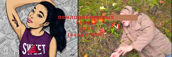 PSILOCYBIN Михайловка