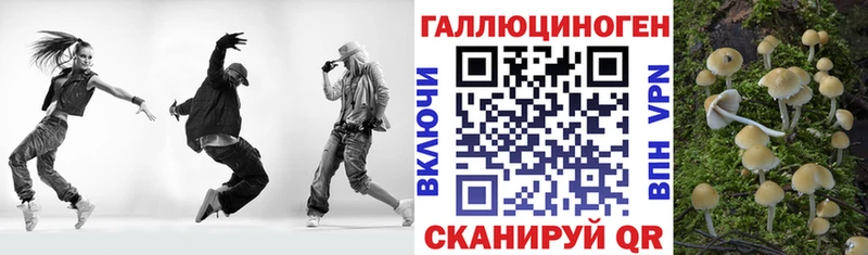 Псилоцибиновые грибы ЛСД  Аргун 
