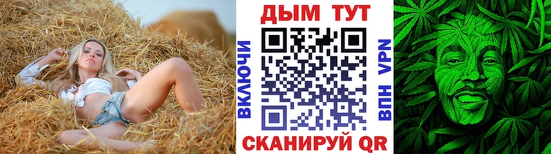 Бошки Шишки индика  Аргун 